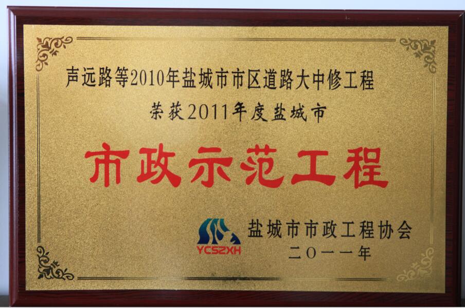市区道路大中修优秀工程